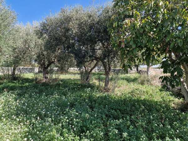terreno agricolo in vendita a Modica