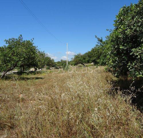 casa indipendente in vendita a Modica