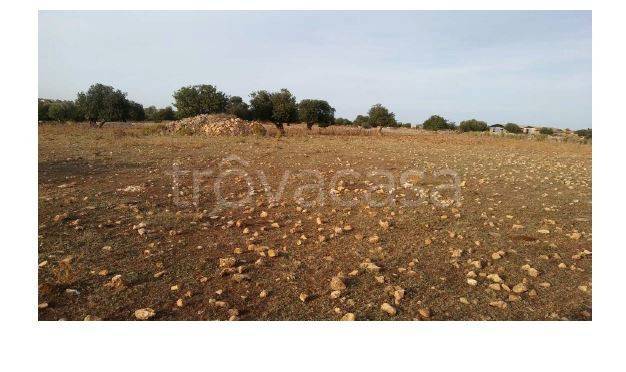 appartamento in vendita a Modica