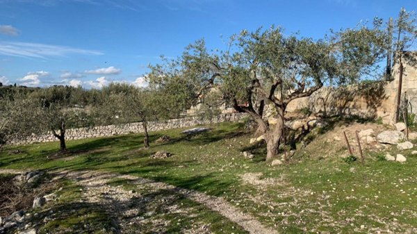 appartamento in vendita a Modica in zona Frigintini