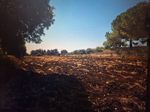 terreno agricolo in vendita a Modica