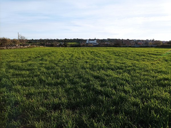 terreno agricolo in vendita a Modica