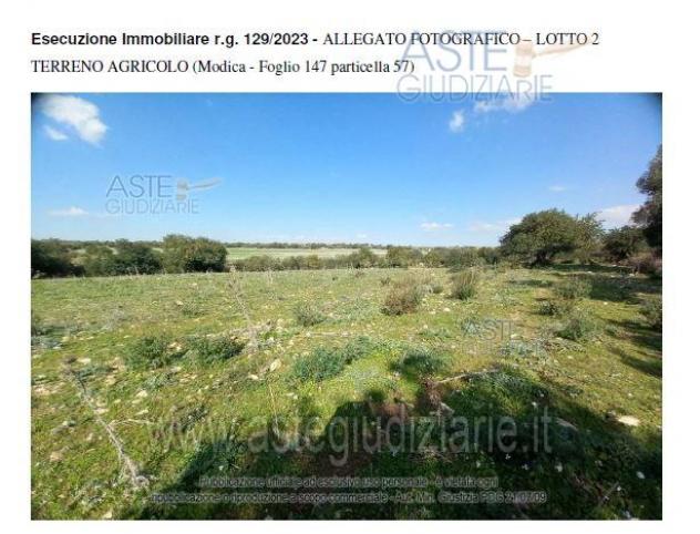 terreno agricolo in vendita a Modica