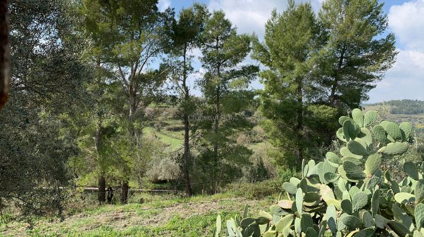 casa indipendente in vendita a Modica