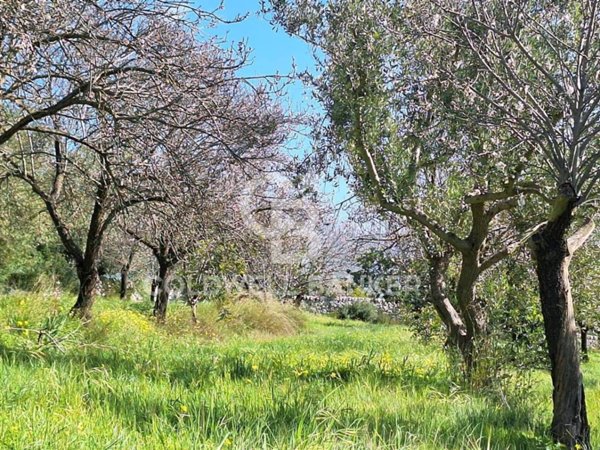 terreno agricolo in vendita a Modica in zona Frigintini