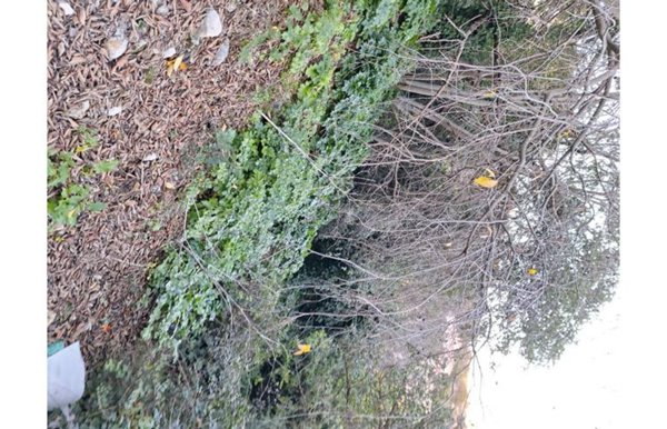 terreno agricolo in vendita a Modica in zona Marina di Modica