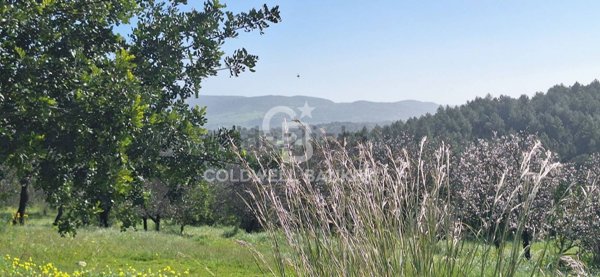 terreno agricolo in vendita a Modica in zona Frigintini