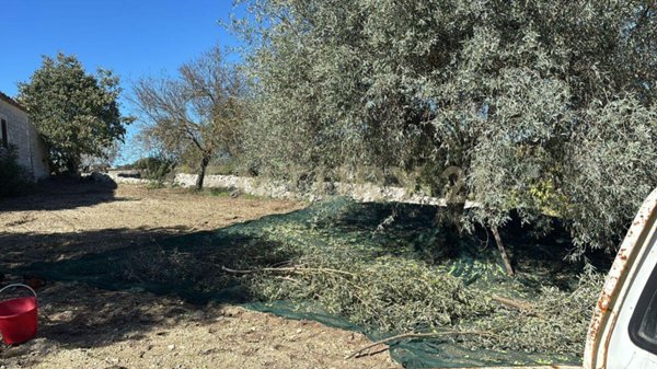 appartamento in vendita a Modica in zona Frigintini