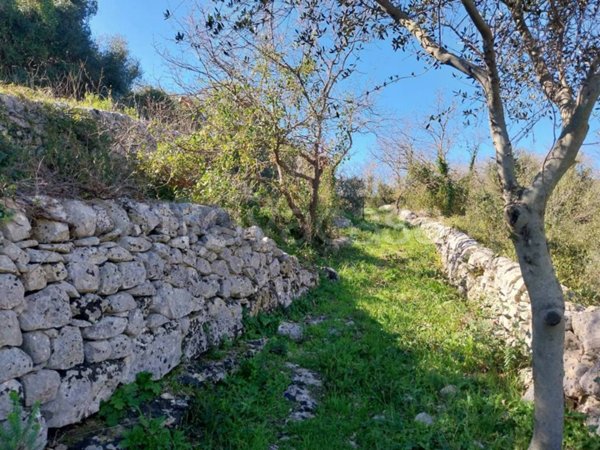 terreno agricolo in vendita a Modica