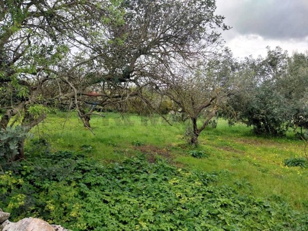 terreno agricolo in vendita a Modica