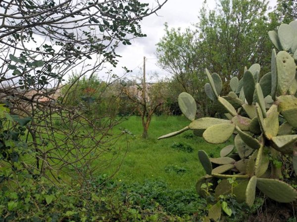 terreno agricolo in vendita a Modica