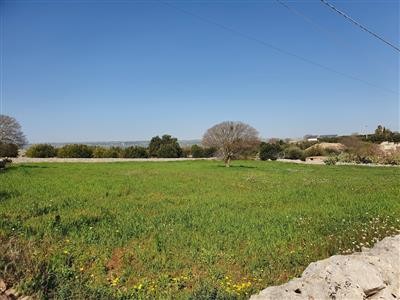 terreno agricolo in vendita a Modica
