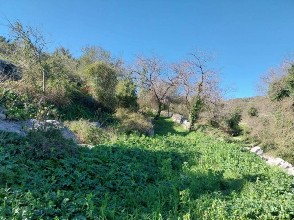 terreno agricolo in vendita a Modica