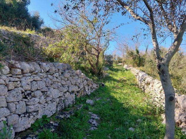 terreno agricolo in vendita a Modica