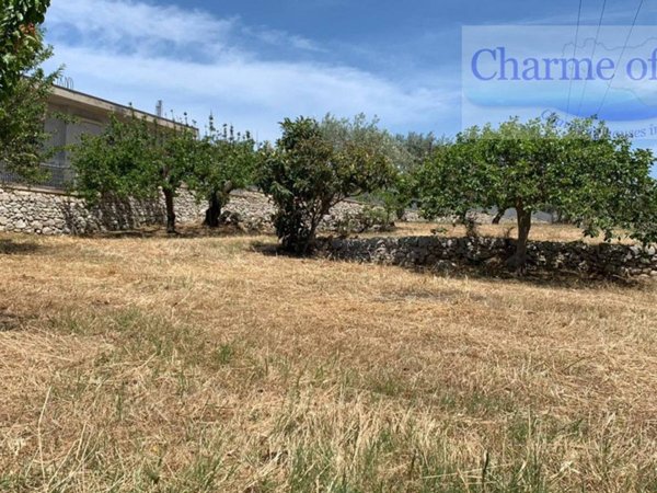 terreno agricolo in vendita a Modica