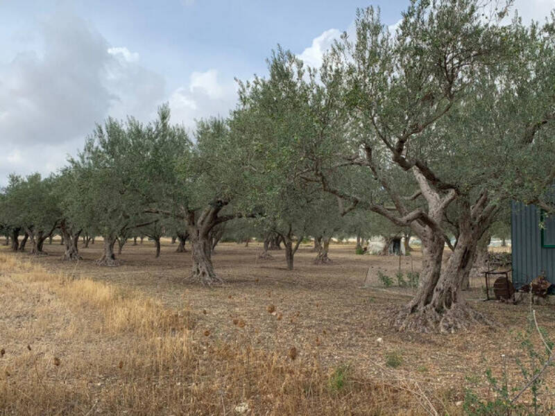 casa indipendente in vendita a Modica in zona Frigintini
