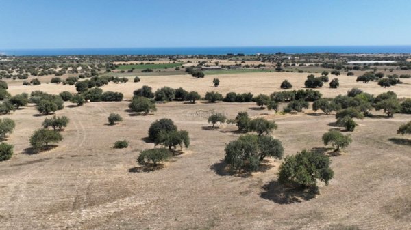 terreno agricolo in vendita a Modica