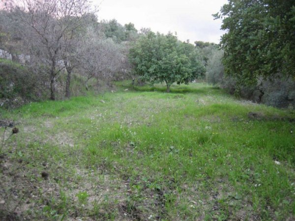 terreno edificabile in vendita a Modica in zona Frigintini