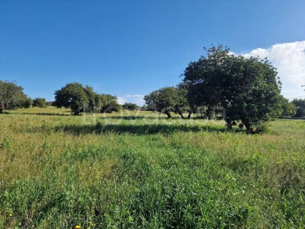 terreno agricolo in vendita a Modica