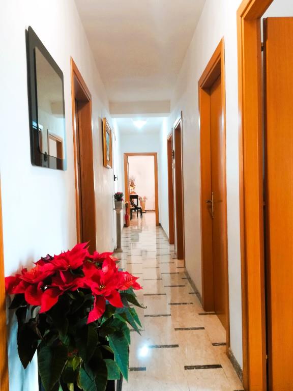 appartamento in vendita a Modica in zona Modica Alta