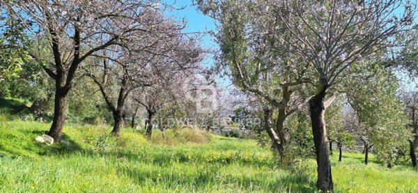 terreno agricolo in vendita a Modica in zona Frigintini