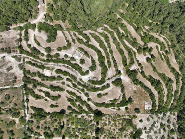 terreno agricolo in vendita a Modica