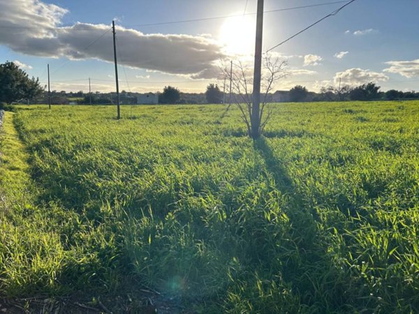 terreno agricolo in vendita a Modica
