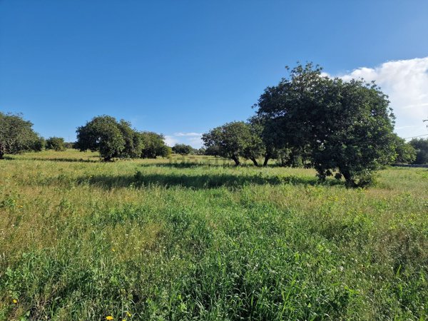 terreno in vendita a Modica