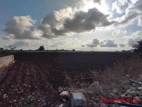terreno agricolo in vendita a Modica