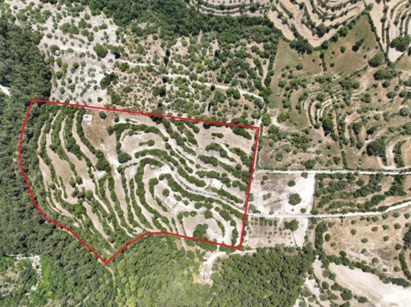 terreno agricolo in vendita a Modica