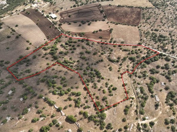 terreno agricolo in vendita a Modica