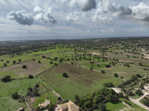 terreno agricolo in vendita a Modica