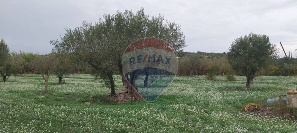 terreno agricolo in vendita a Pozzallo