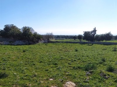 terreno agricolo in vendita a Pozzallo