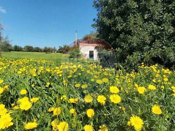terreno agricolo in vendita a Pozzallo