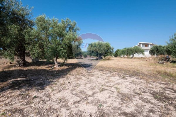 casa indipendente in vendita a Pozzallo