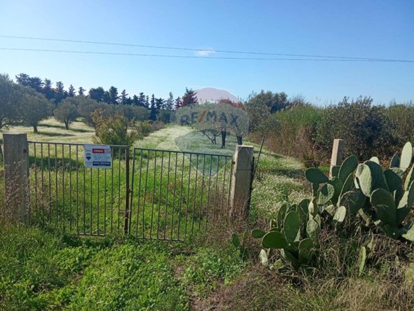 terreno agricolo in vendita a Pozzallo