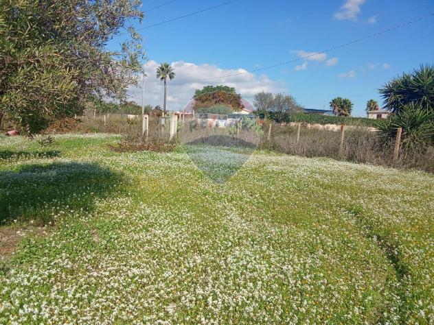 terreno agricolo in vendita a Pozzallo
