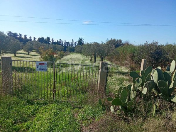 terreno agricolo in vendita a Pozzallo