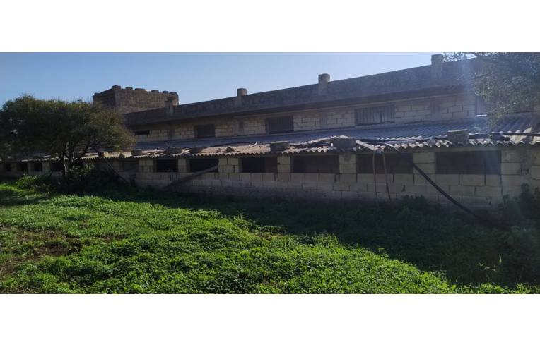 terreno agricolo in vendita a Pozzallo