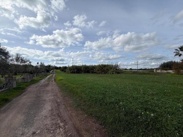 terreno agricolo in vendita a Pozzallo
