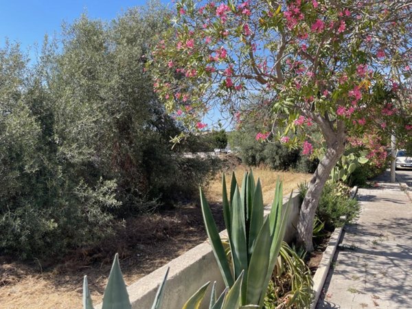 appartamento in vendita a Pozzallo