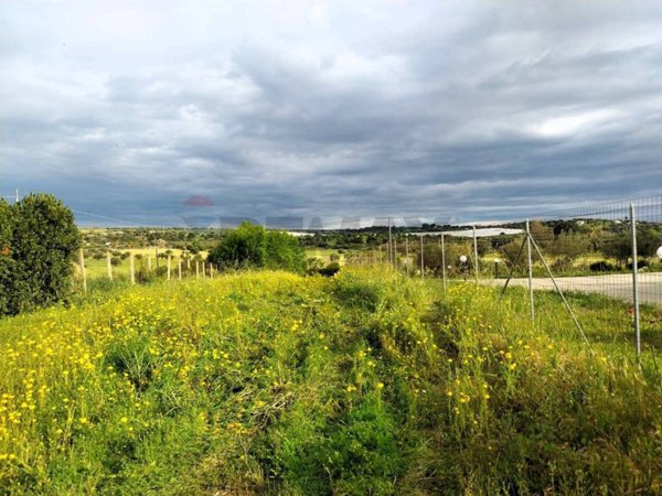 terreno agricolo in vendita a Pozzallo