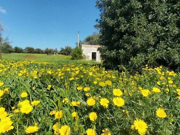 terreno agricolo in vendita a Pozzallo