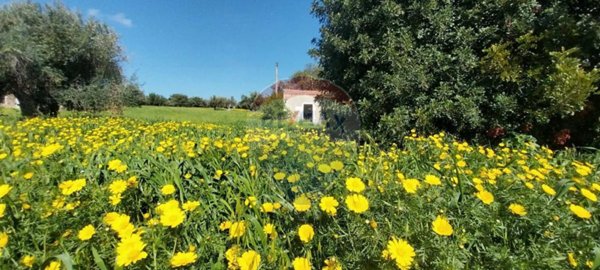 casa indipendente in vendita a Pozzallo