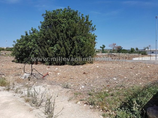 casa indipendente in vendita a Pozzallo