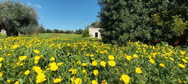 casa indipendente in vendita a Pozzallo