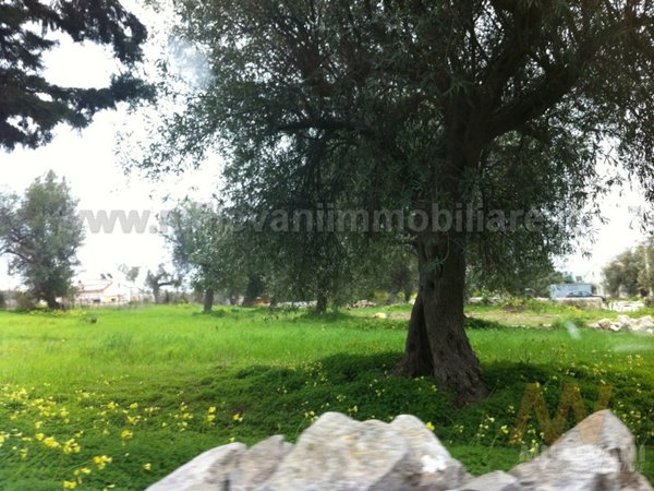 casale in vendita a Pozzallo