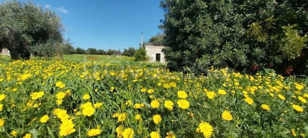 terreno agricolo in vendita a Pozzallo