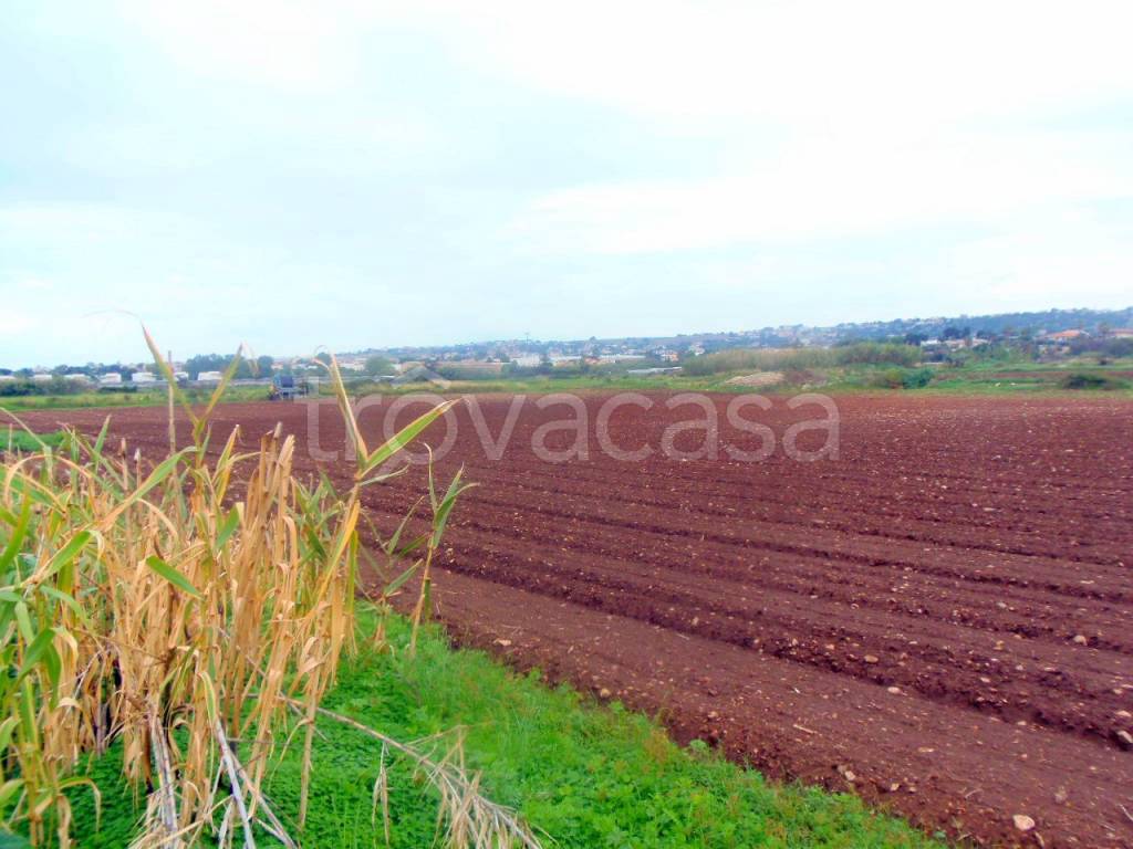terreno agricolo in vendita a Ragusa in zona Marina